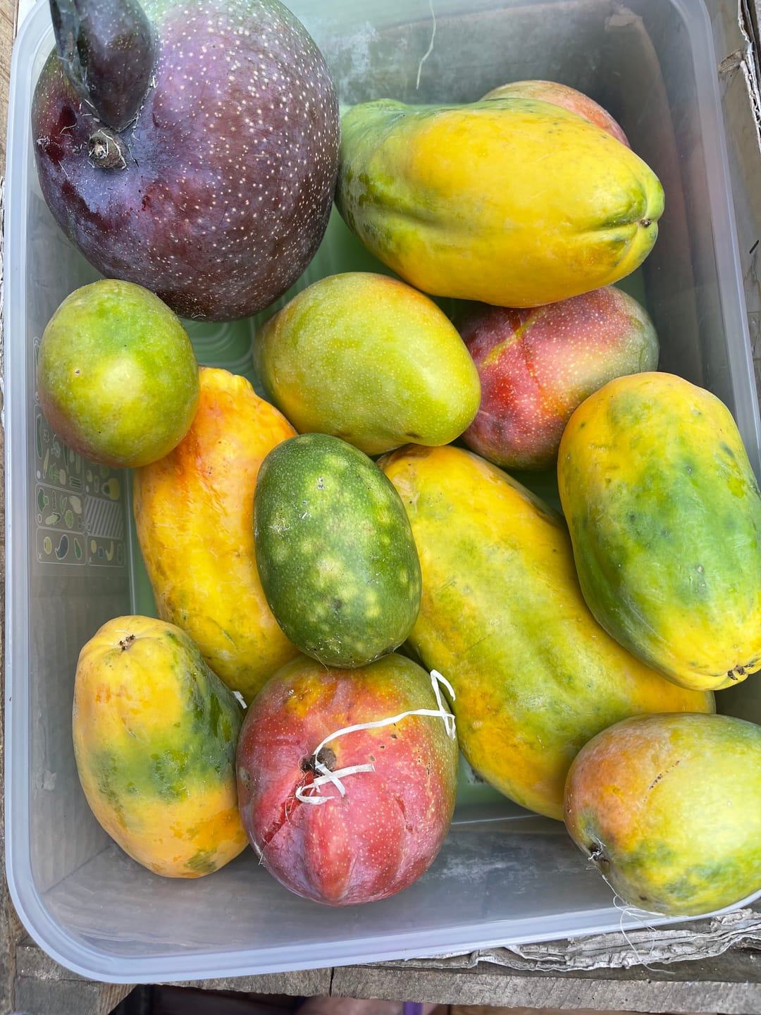 Customer photo review of Mango-Mix Bio von Julian 4kg Aktionspreis %