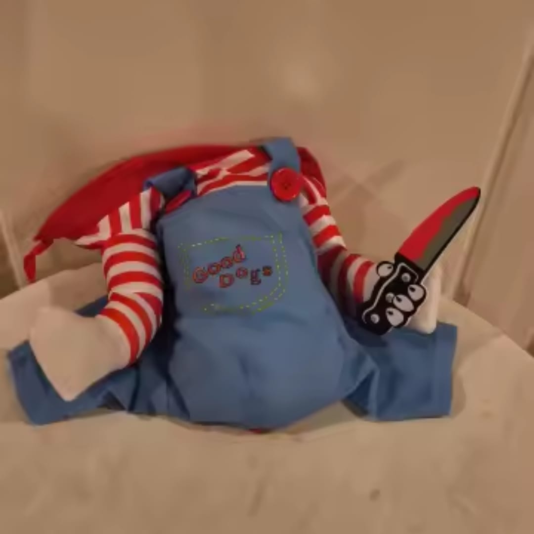 Customer photo review of Disfraz de Halloween para mascotas