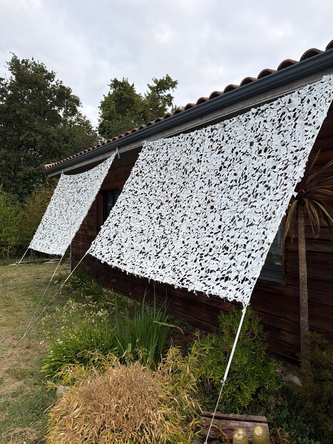 Customer photo review of Brise-vue camouflage