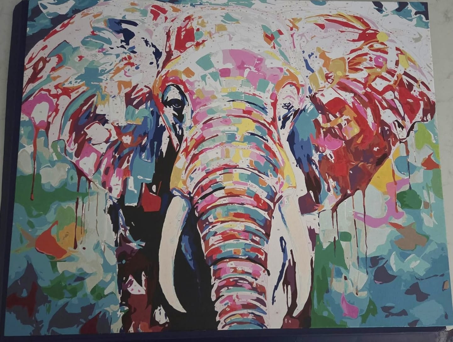 Customer photo review of Elephant Tales