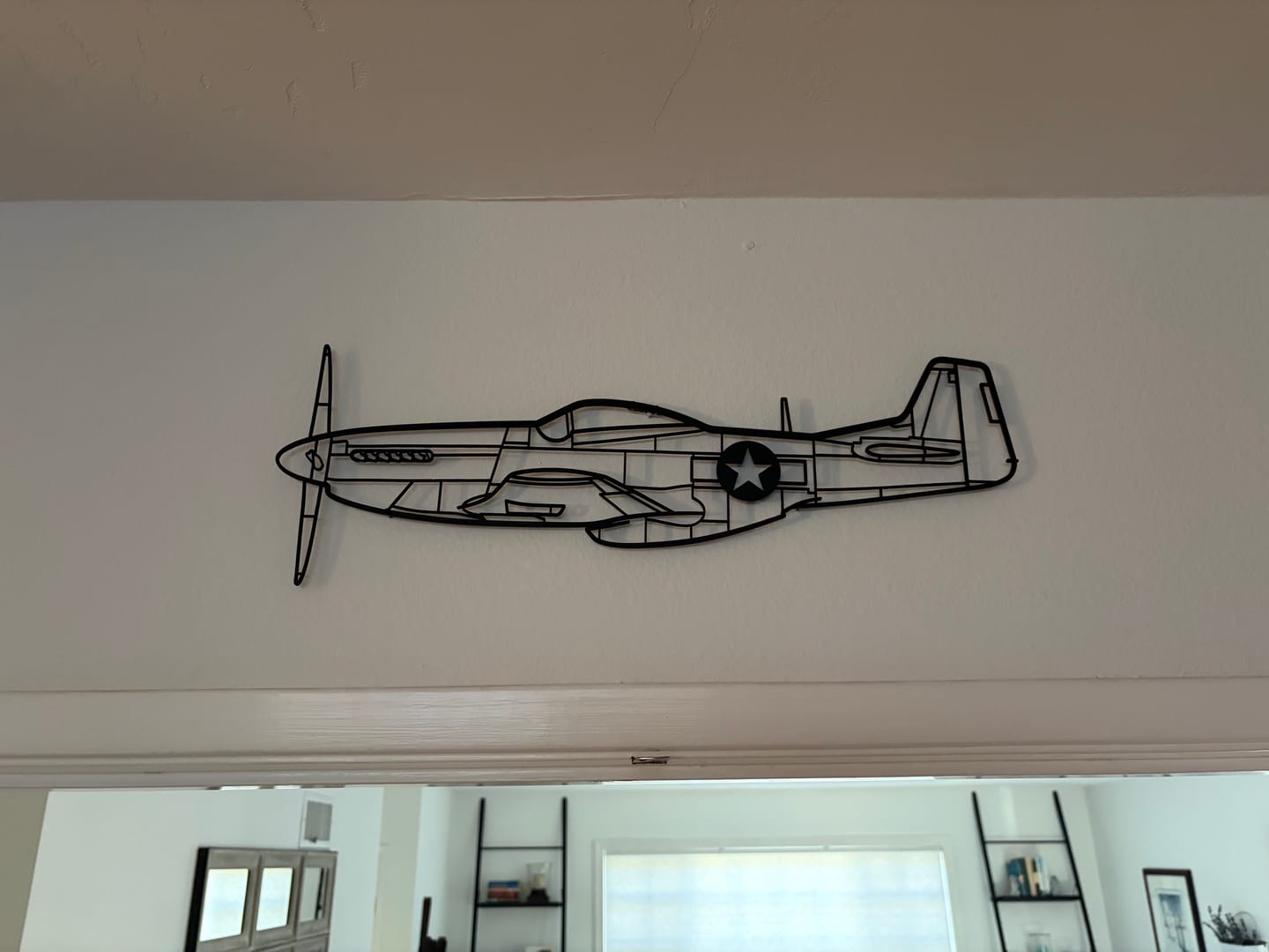 Customer photo review of P-51 Mustang Silhouette Metal Wall Art