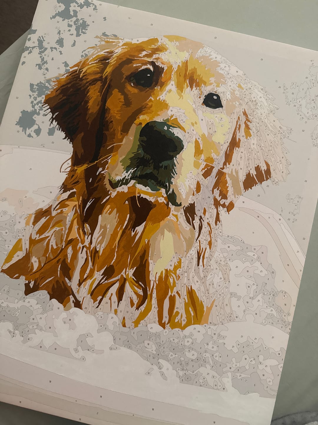Customer photo review of Soaking in the Bath | Paint by Number