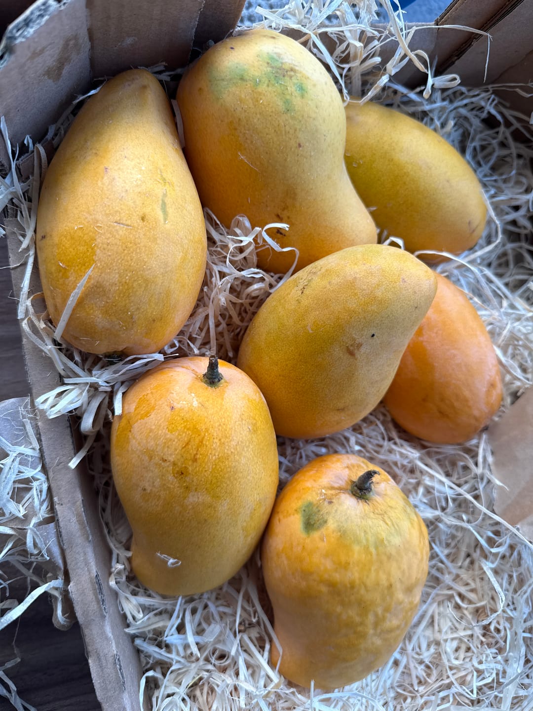 Customer photo review of Mango Honig „Ataulfo“ Bio von Julian