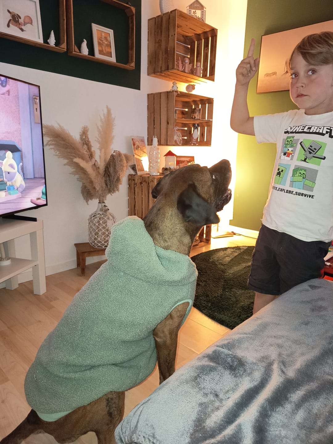 Customer photo review of Teddy Sherpa Dog Jacket - Light Green