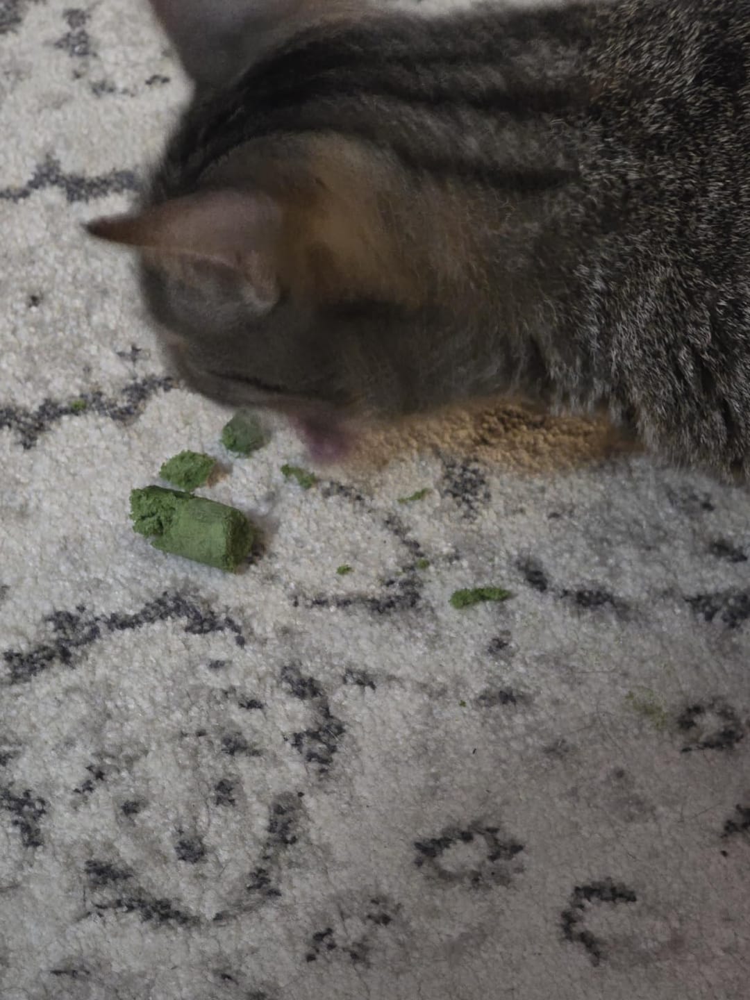 Customer photo review of PurrPatch Grass Chews