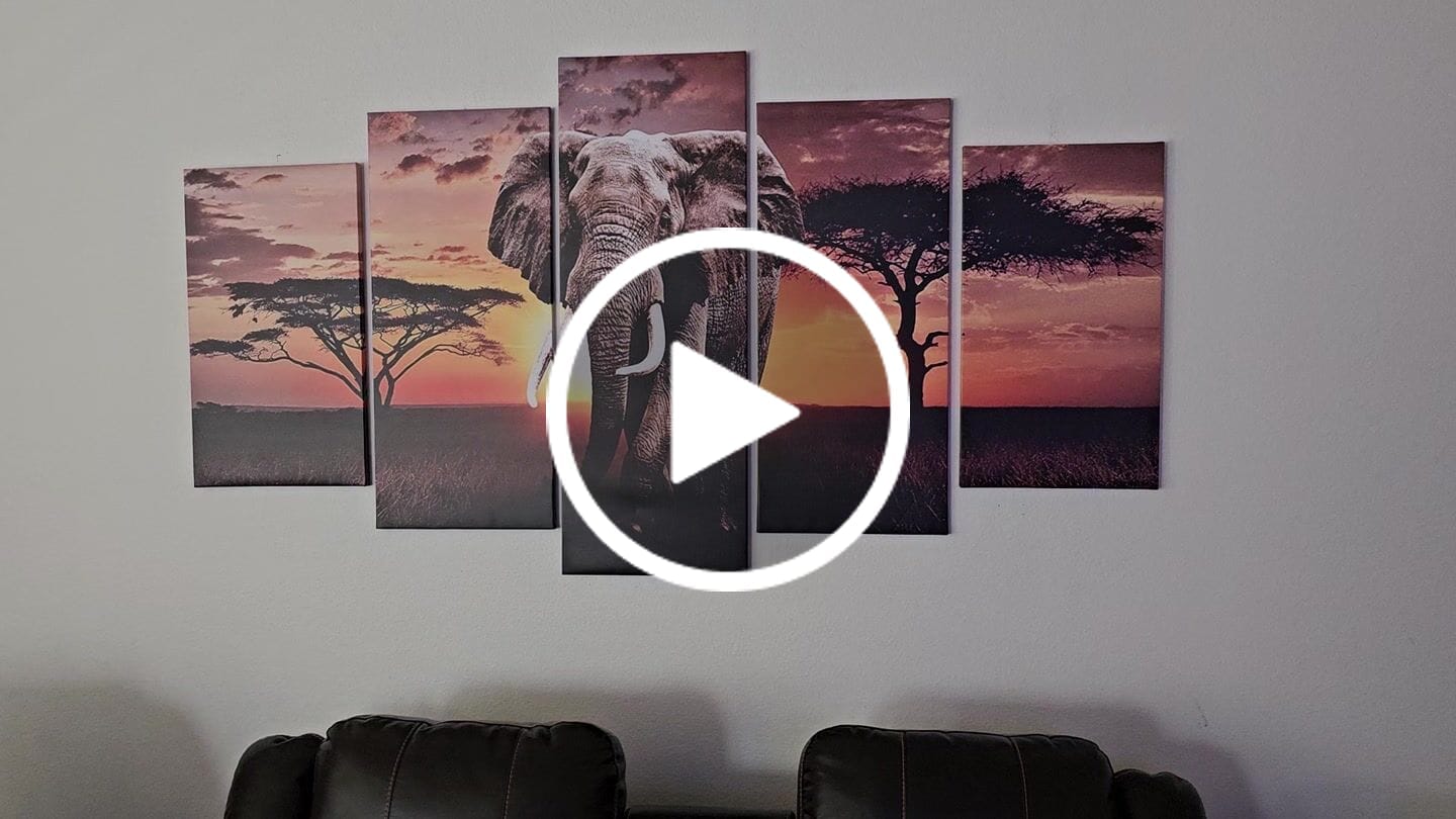 Customer video review of African Elephant