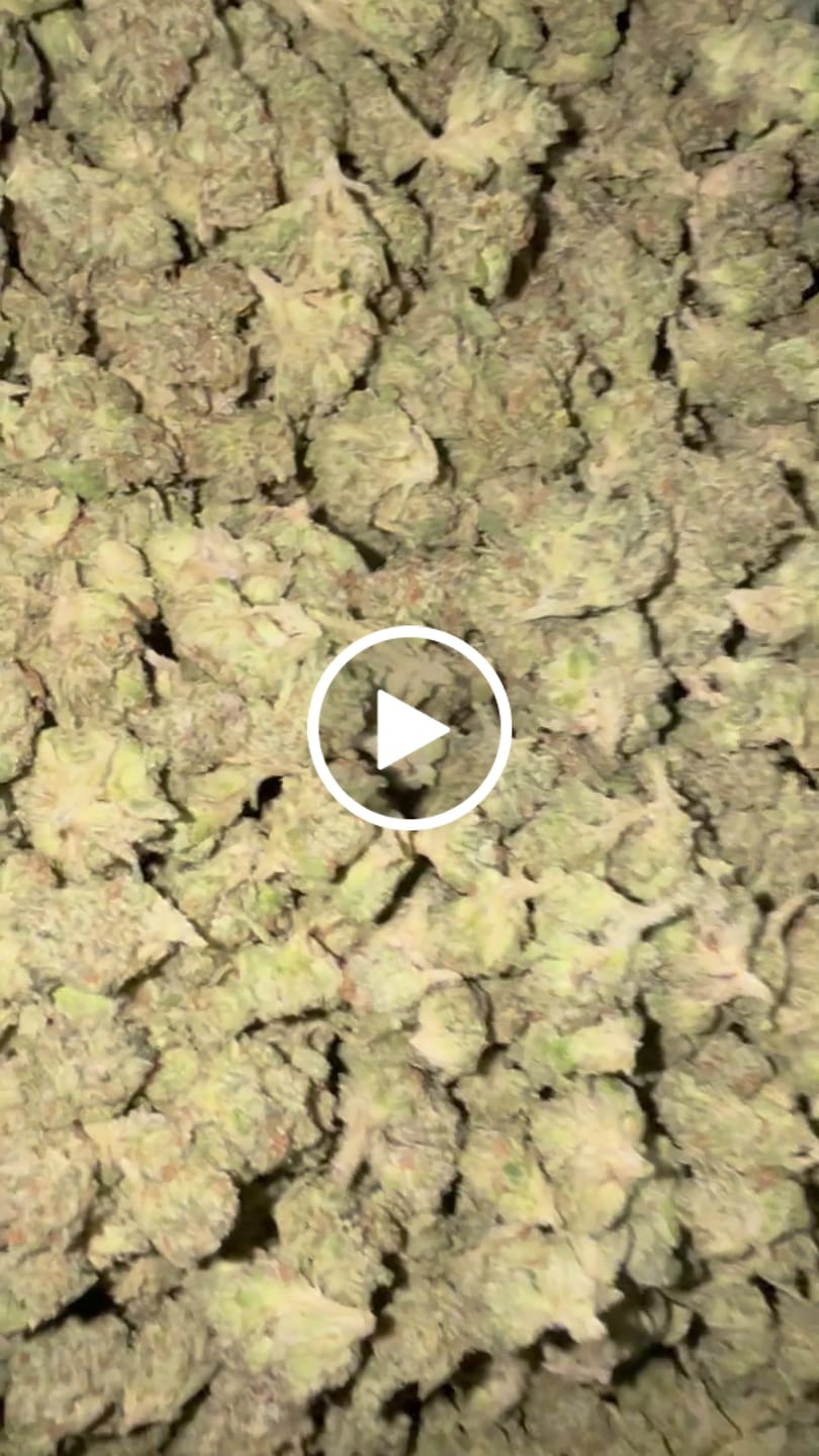 Customer video review of Cheap THCA Smalls Pound