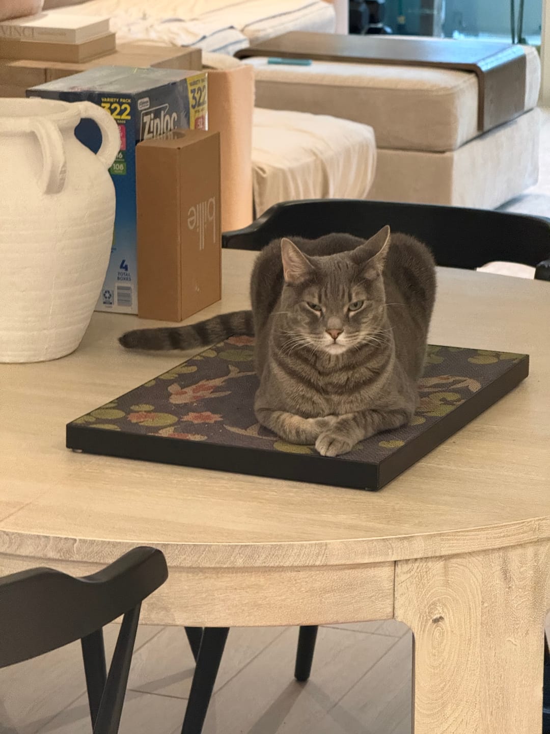 Customer photo review of Koi Pond - Luxury Cat Scratching Board
