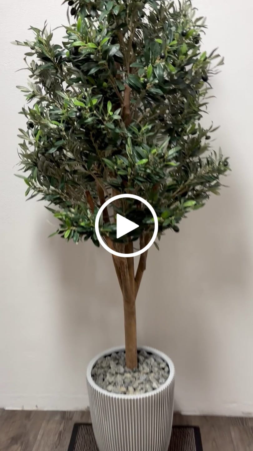 Customer video review of Künstlicher Olivenbaum 170cm Deluxe