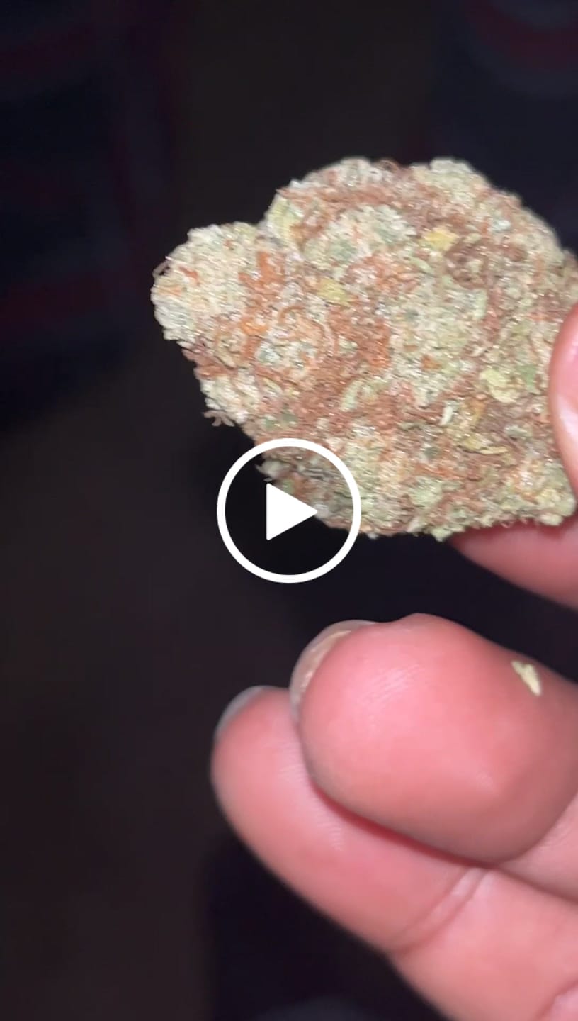 Customer video review of Lyon King THCA Flower