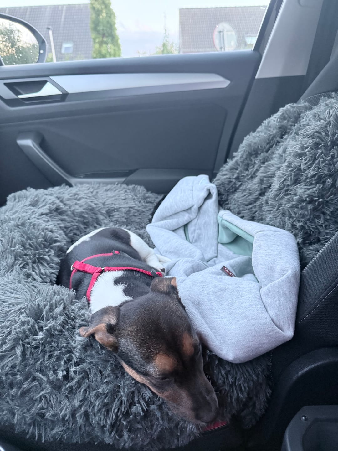 Customer photo review of Fluffy Autostoel (2-in-1)