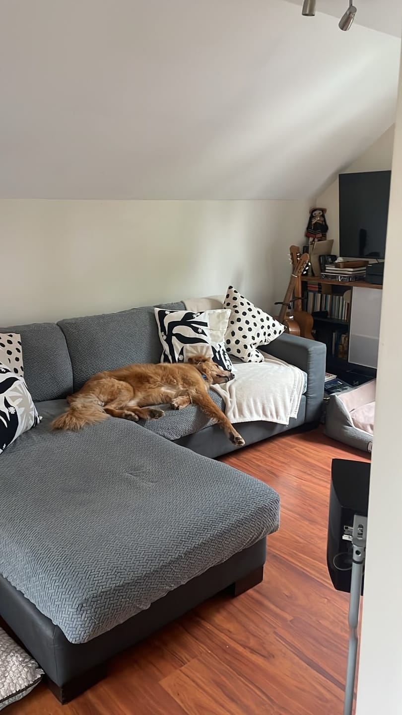 Customer photo review of Funda Mágica Cubre Sofá —  Renueva tu sofá en 2 minutos.