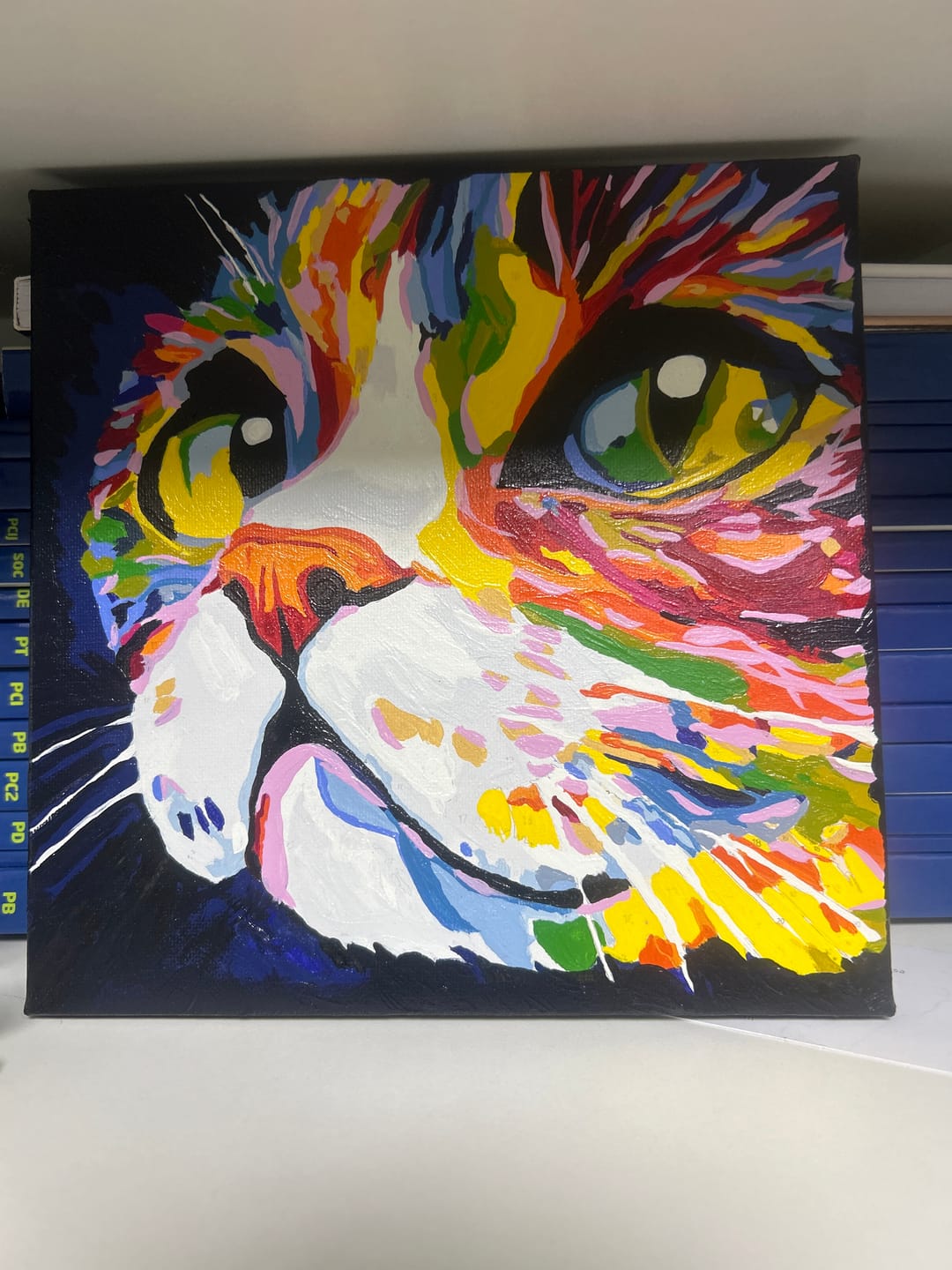 Customer photo review of Mini Paint by Number with Frame - Colorful Cat