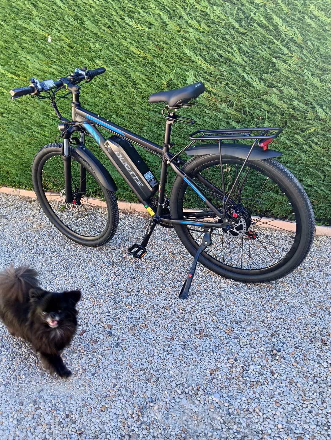 Customer photo review of DUOTTS C29 Electric Bike