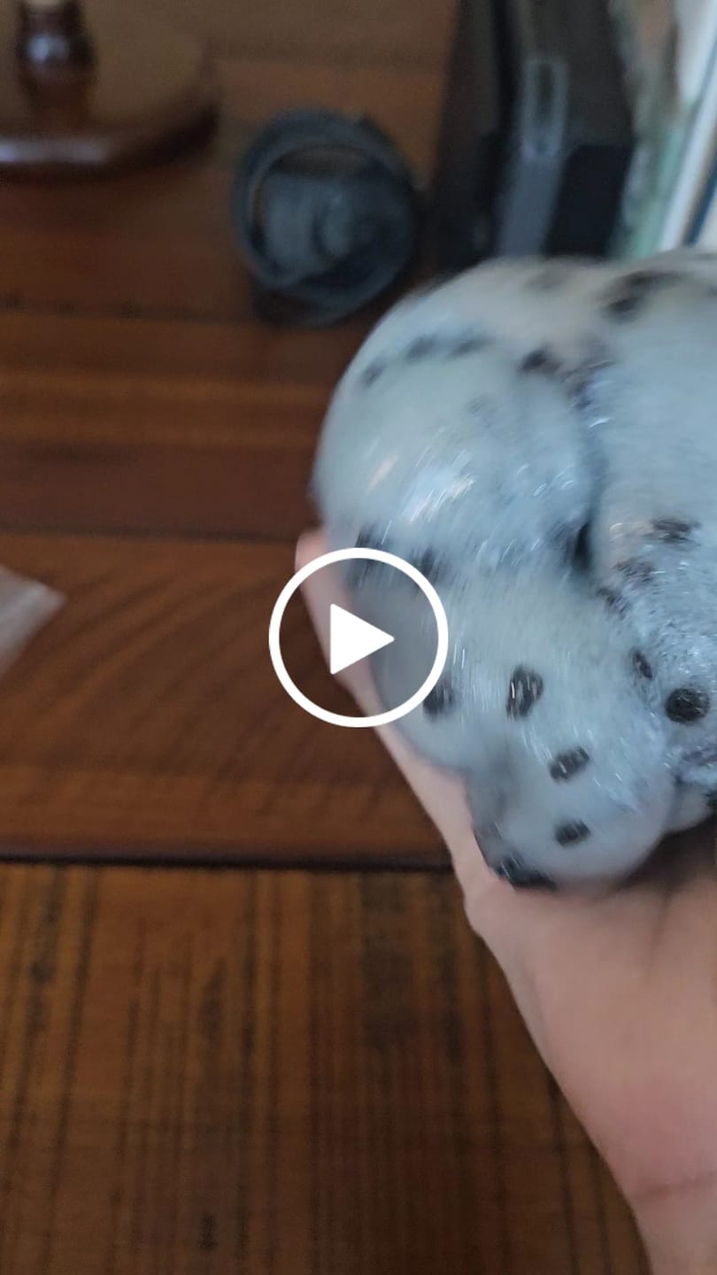 Customer video review of Duck Pond Slime