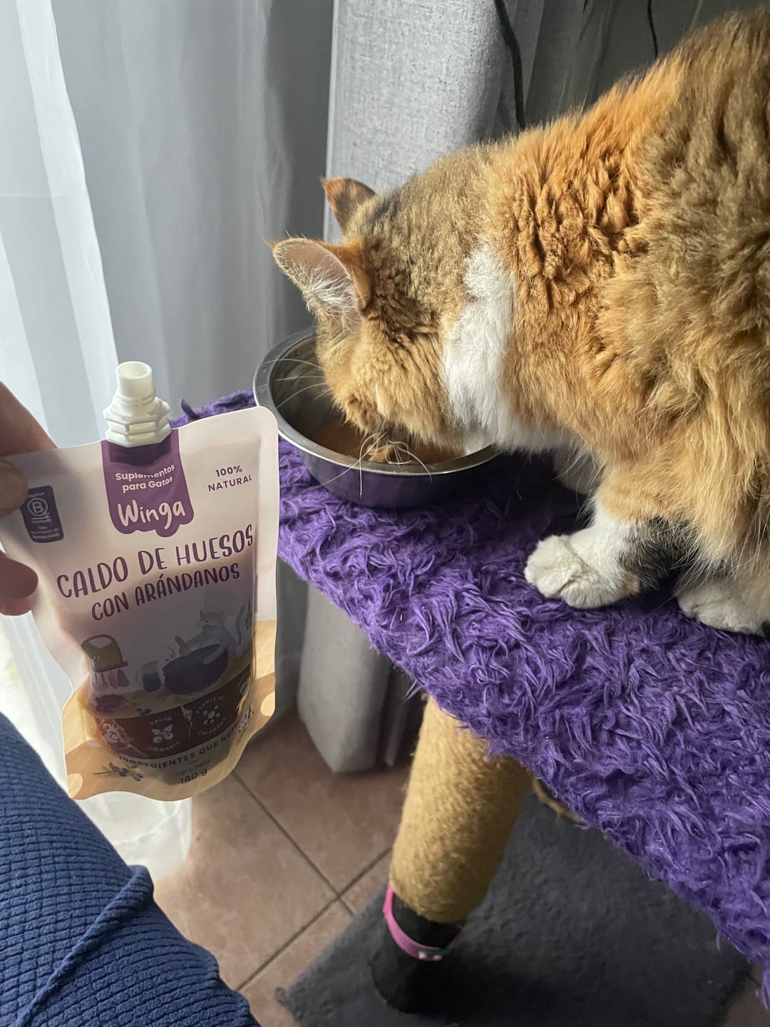 Customer photo review of Caldo de Huesos Gatos