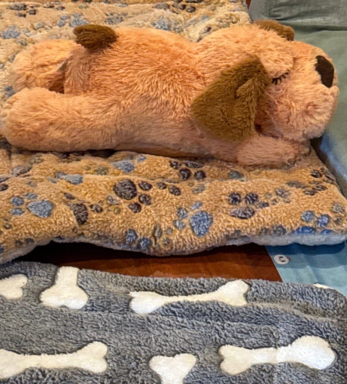 Customer photo review of Peluche con latido realista para perros