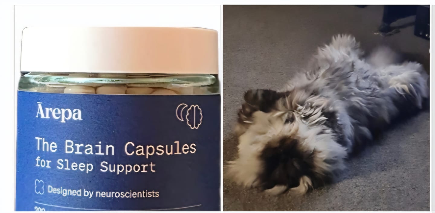 Customer photo review of The Brain Capsules for Sleep Support