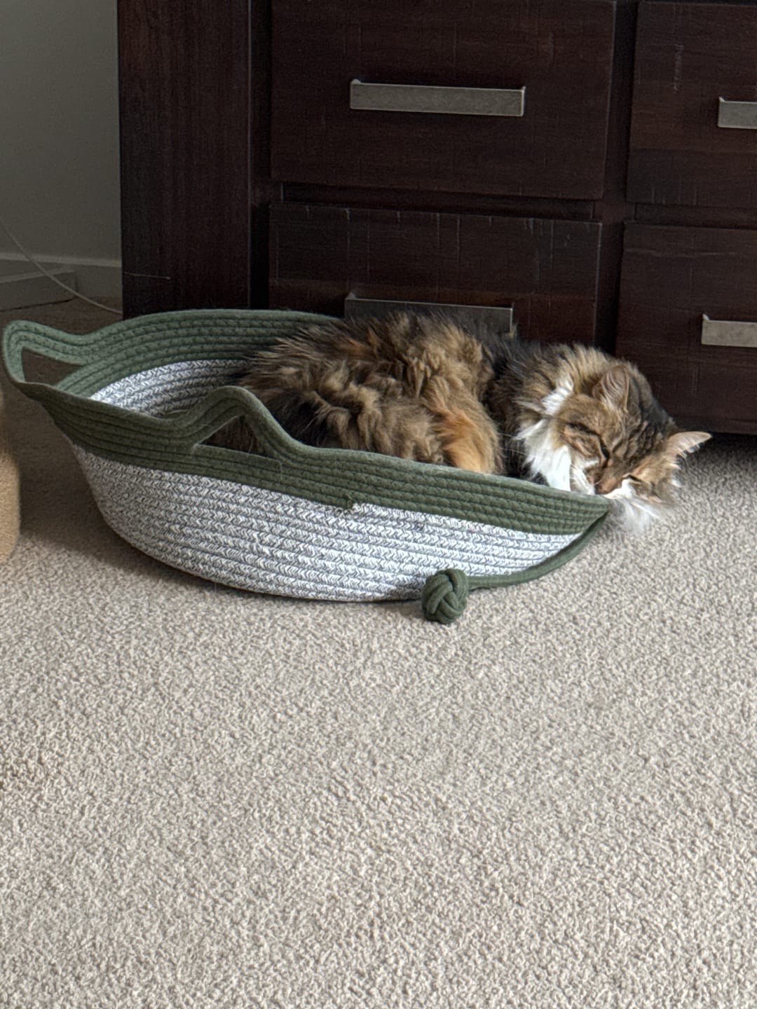 Customer photo review of Instinct Basket | Meet the first research-backed natural territory for indoor cats
