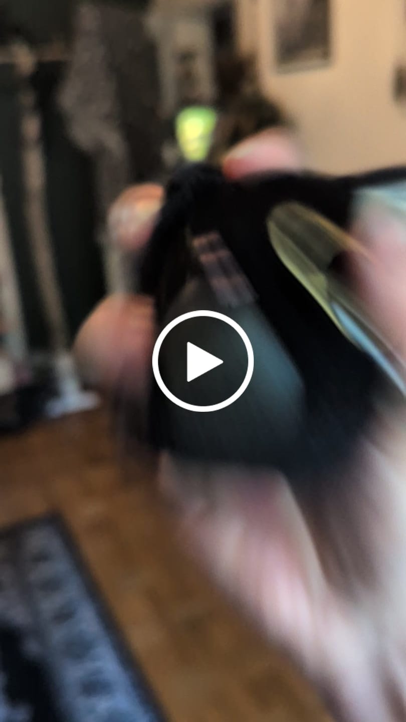 Customer video review of Schwarze Katze Wahrsager Quetschball