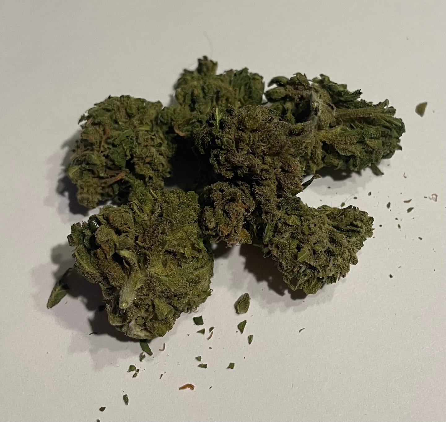 Customer photo review of Puffaroo - Blueberry Headband - 28 Grams - Hybrid