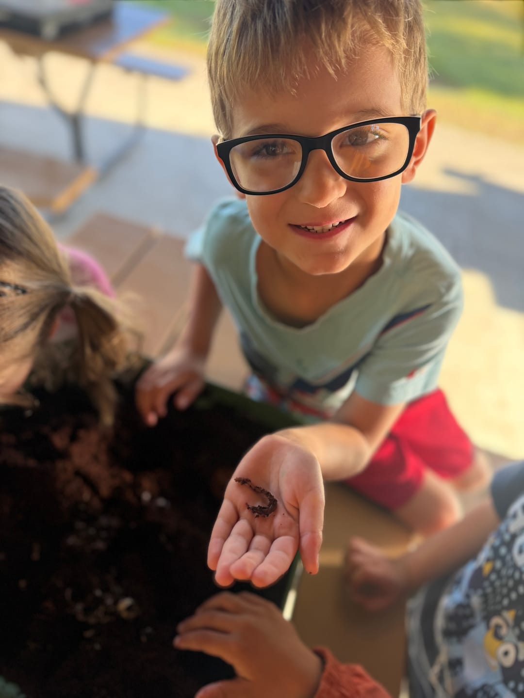 Customer photo review of Red Wigglers Composting Worms