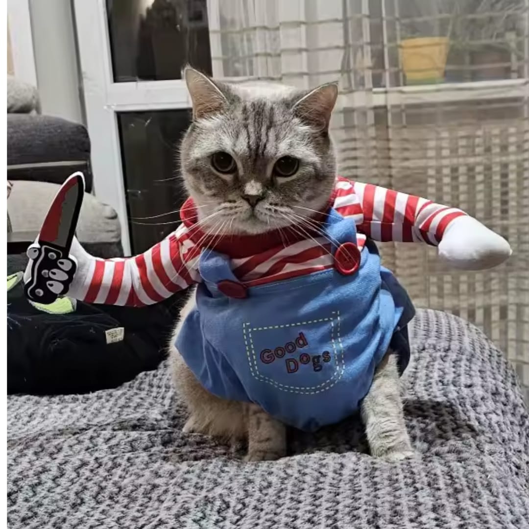 Customer photo review of Disfraz de Halloween para mascotas