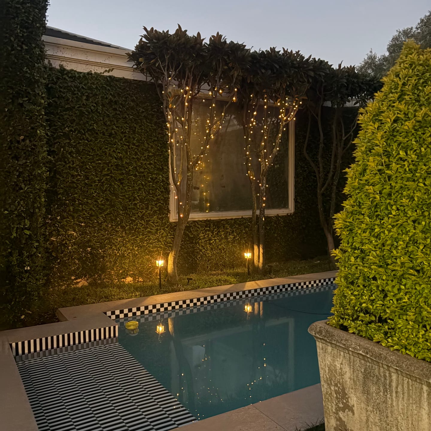 Customer photo review of Black String Solar Fairy Lights