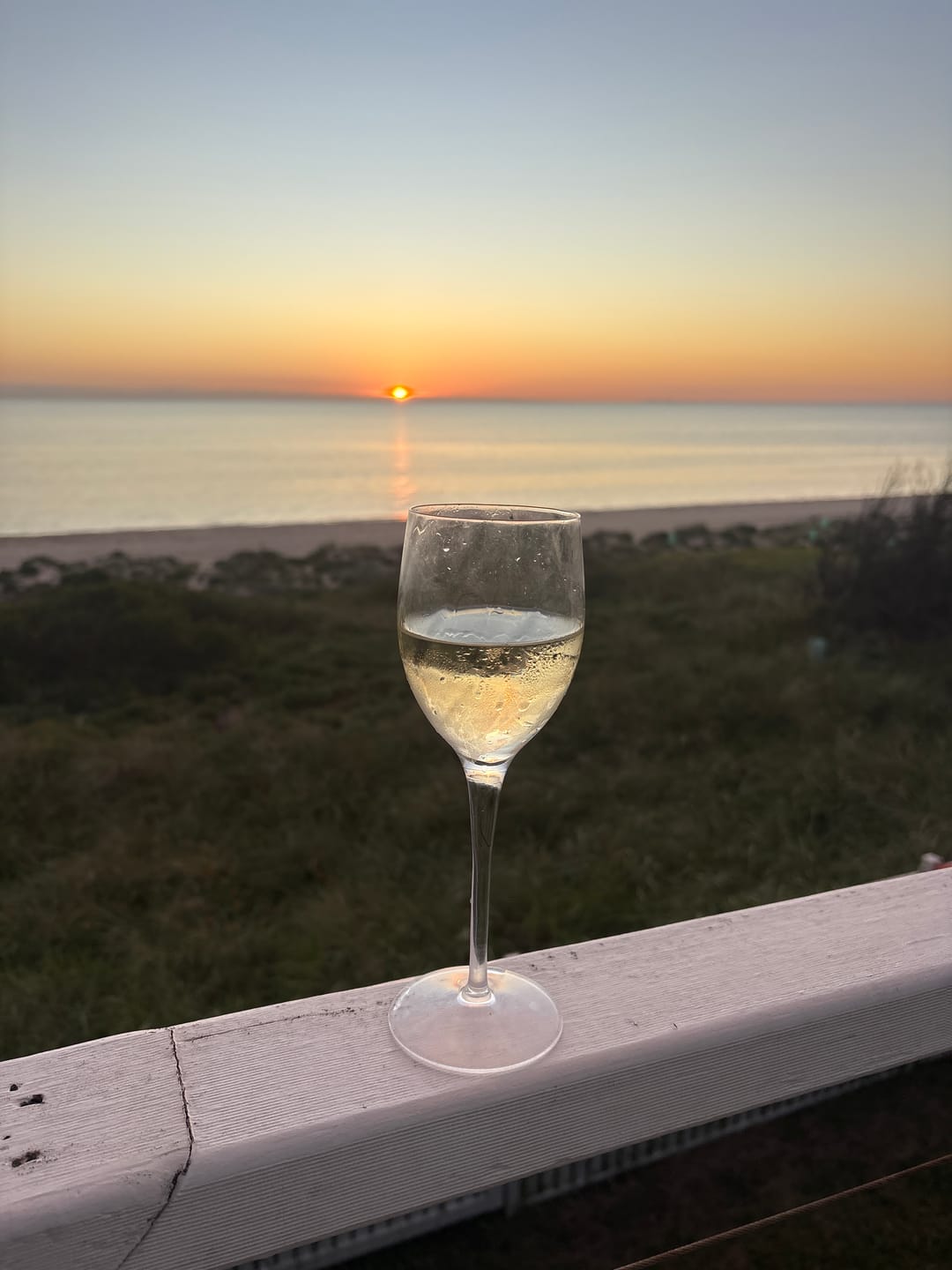 Customer photo review of Zero Sugar Sauvignon Blanc – Australian White Wine | 6 Pack