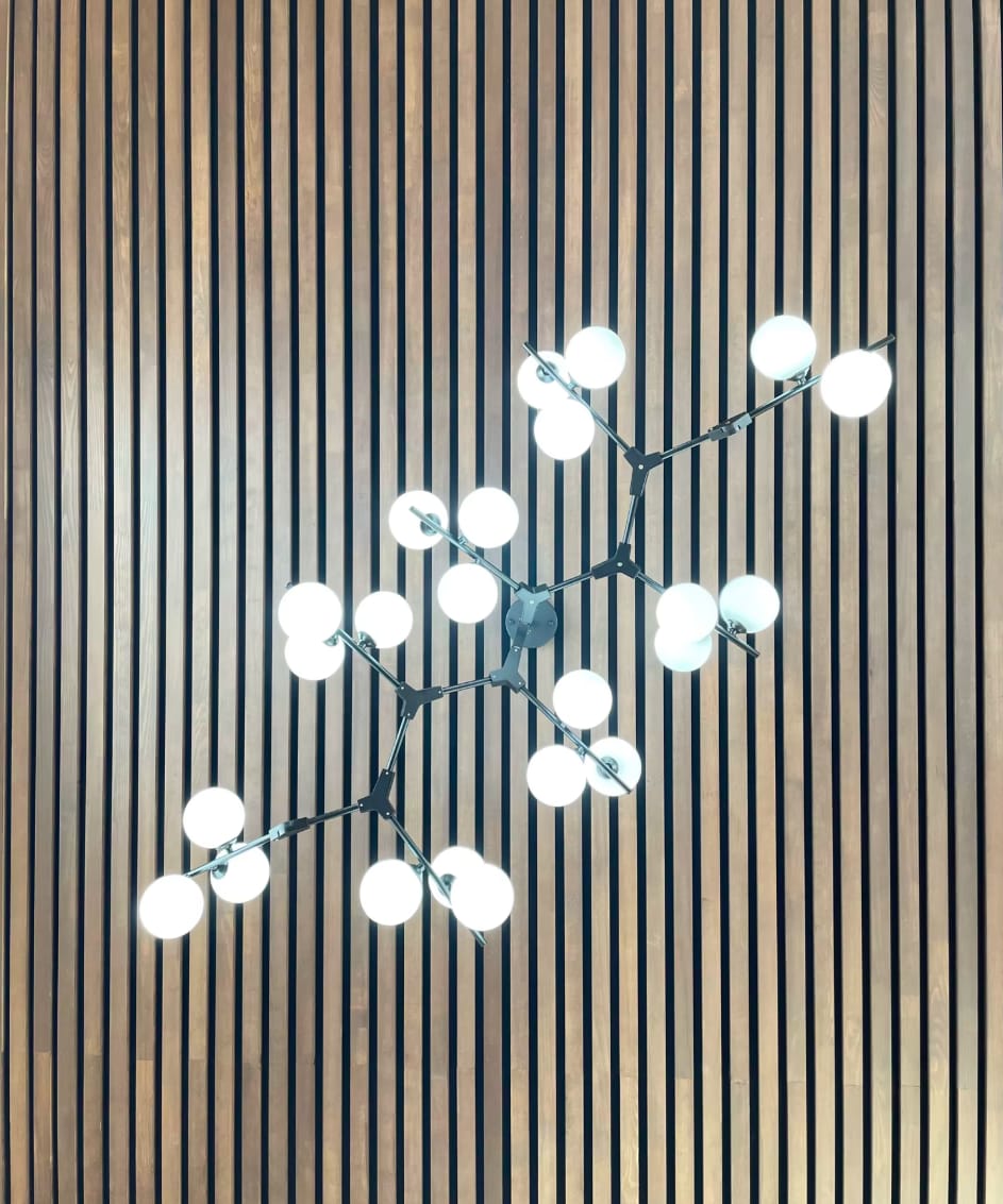 Customer photo review of Tree Branch LED Pendant Light
