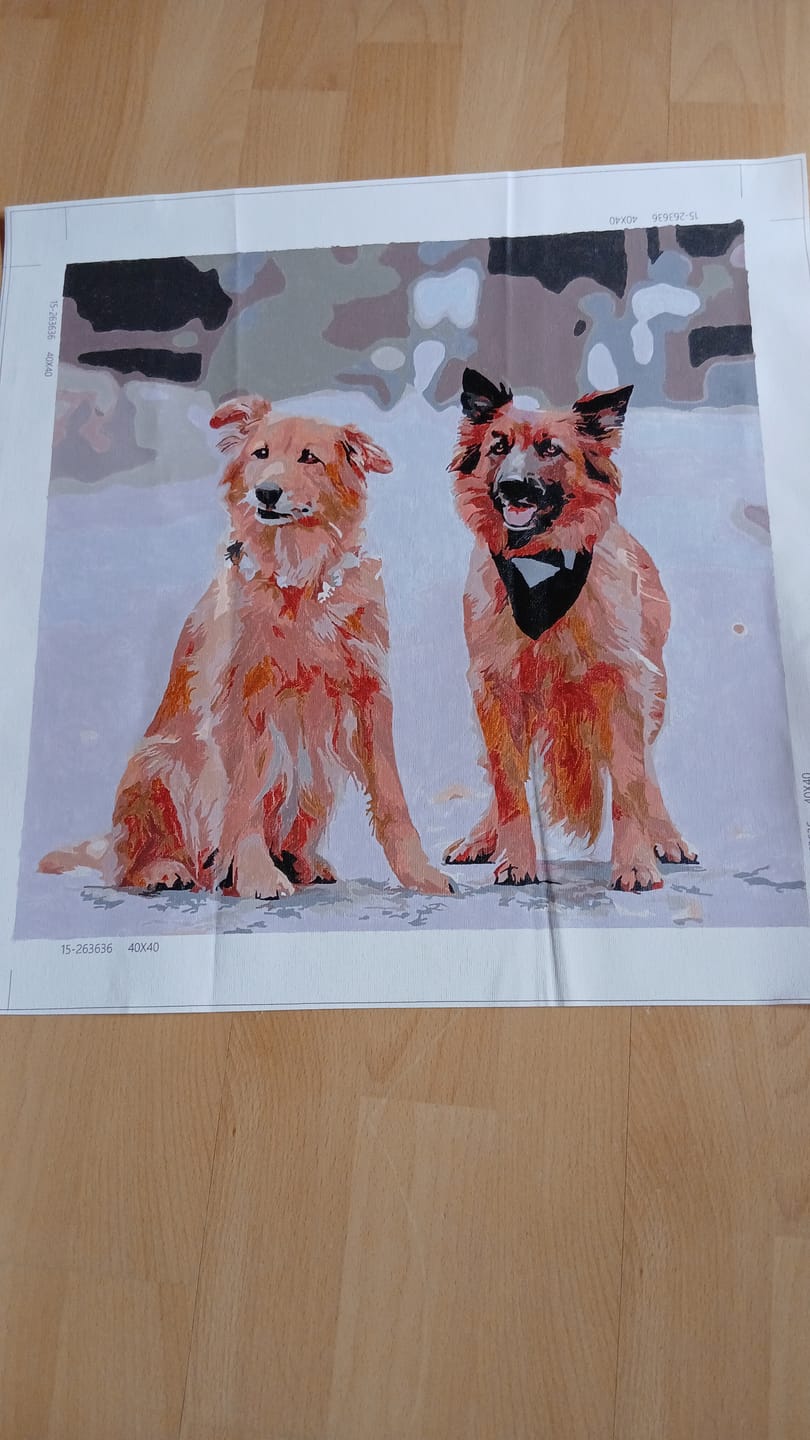 Customer photo review of Eigenes Foto - Malen nach Zahlen