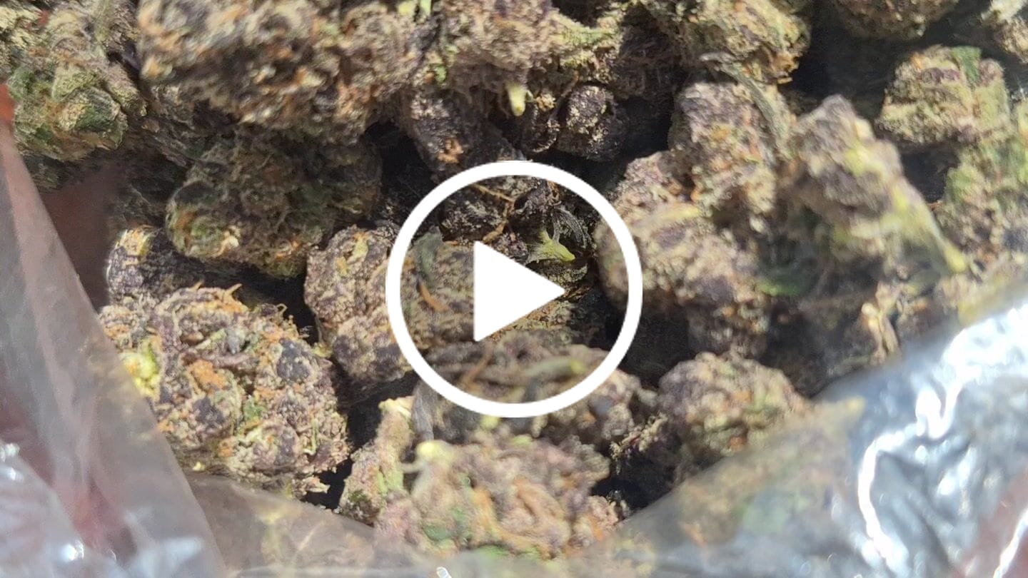 Customer video review of Cheap Indoor THCA Flower Ounce
