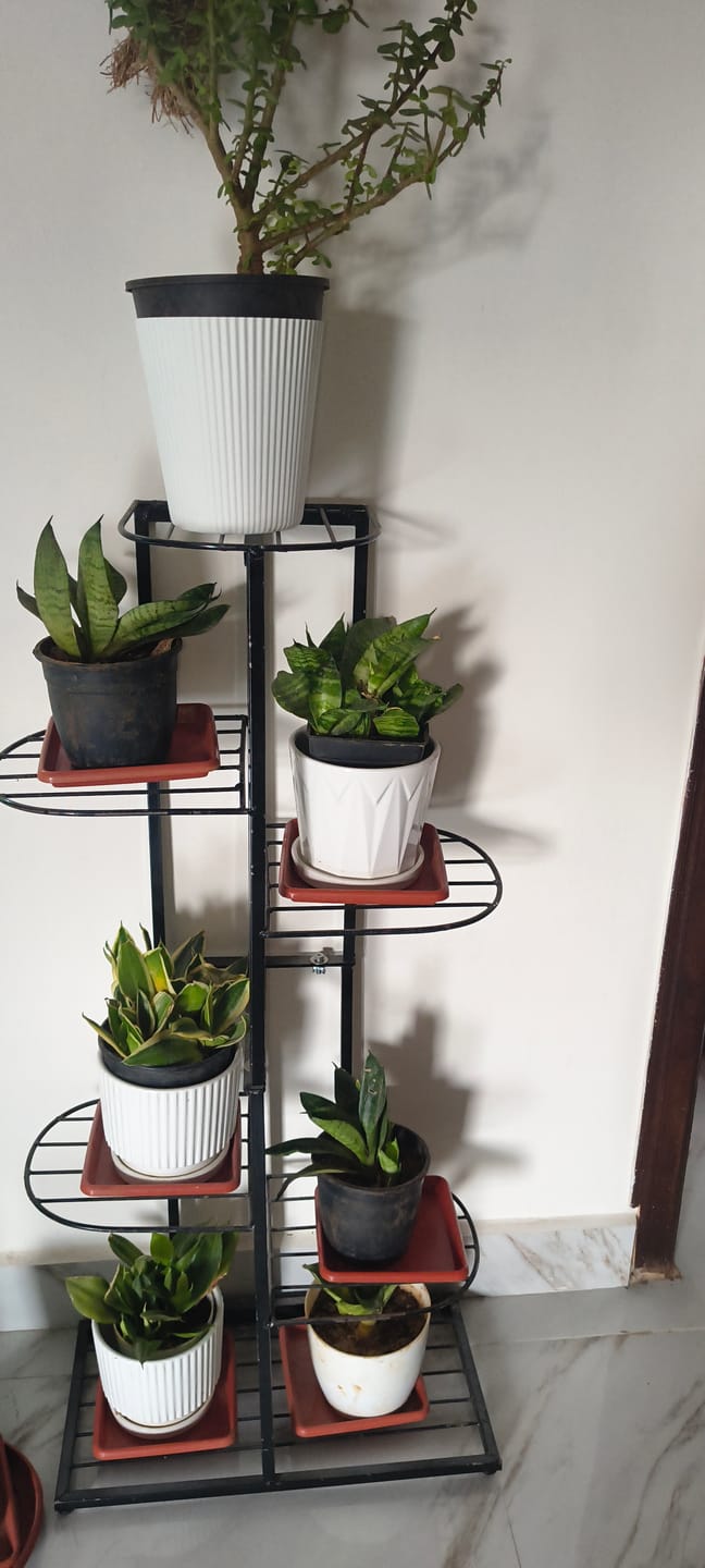 Customer photo review of Plant Stand Metal 6 Tier 7 Potted Multiple Flower Pot Holder Shelf Indoor Outdoor Planter Display Shelving Unit For Patio Garden Corner