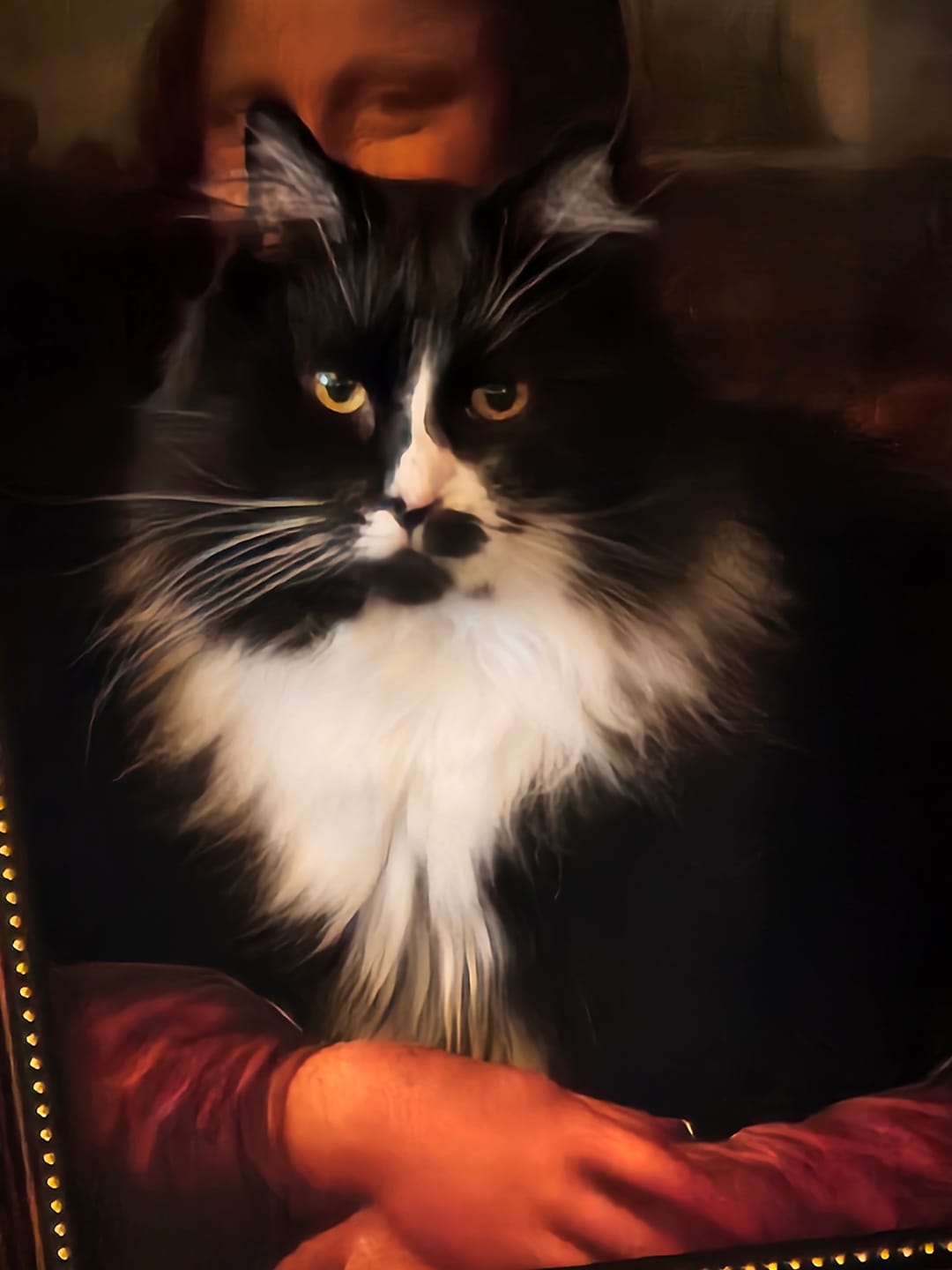 Customer photo review of Cat Dental Care & Bad Breath Remedy