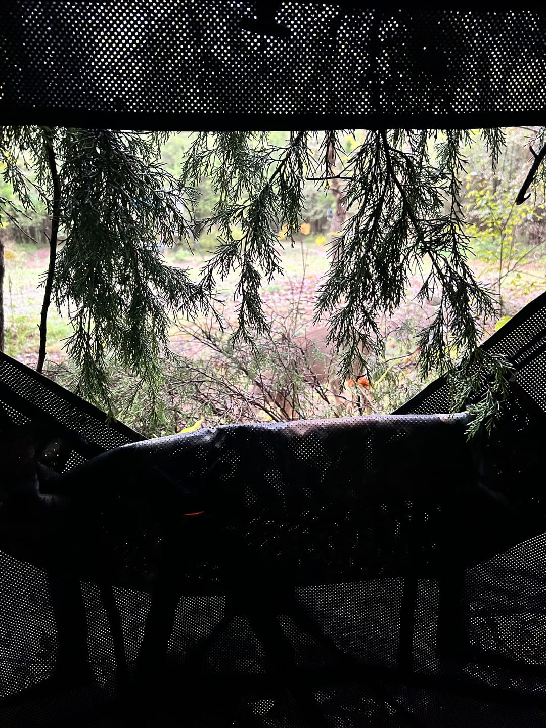 Customer photo review of Vis360 See Through Ground Blind | 360° Camouflage Pop Up Hunting Blind for 2/3/4 Person | Portable Deer Blind with Orange Cover