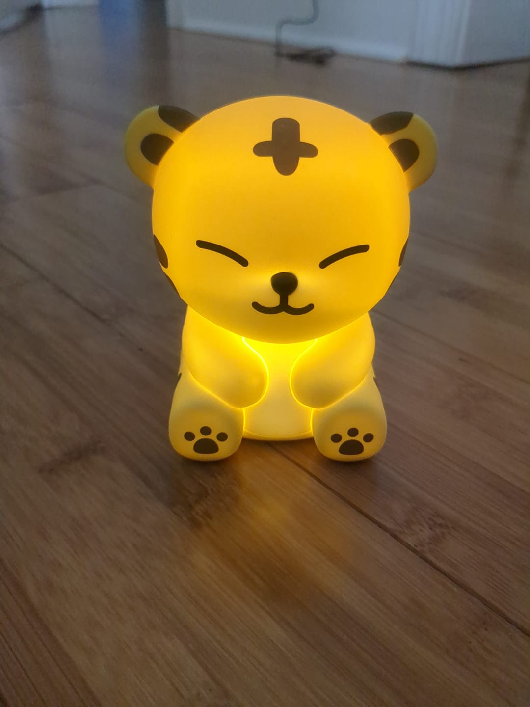 Customer photo review of [LAST PRE-ORDER] SEVENTEEN - MINITEEN 2ND OFFICIAL MD MINI MOOD LAMP