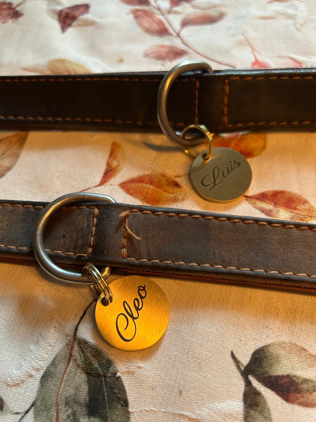 Customer photo review of Hundemarke mit Gravur, Name und Telefon personalisiert, rund, 25mm oder 30mm in verschiedenen Farben