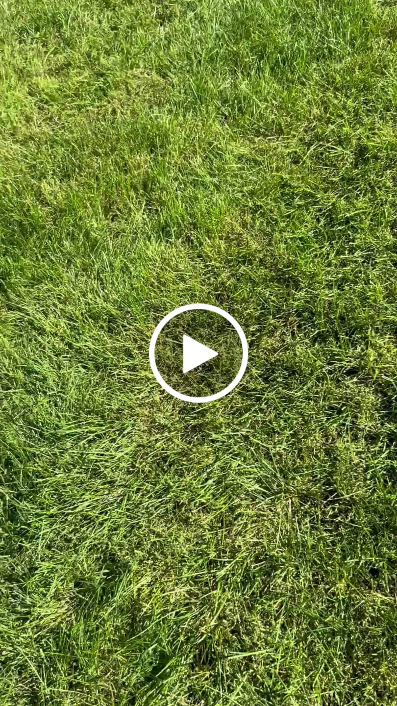 Customer video review of Autumn Bounty