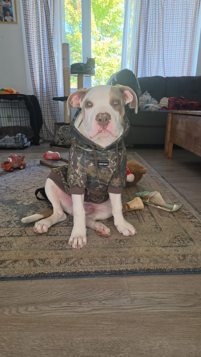 Customer photo review of Camo Dog Hoodies