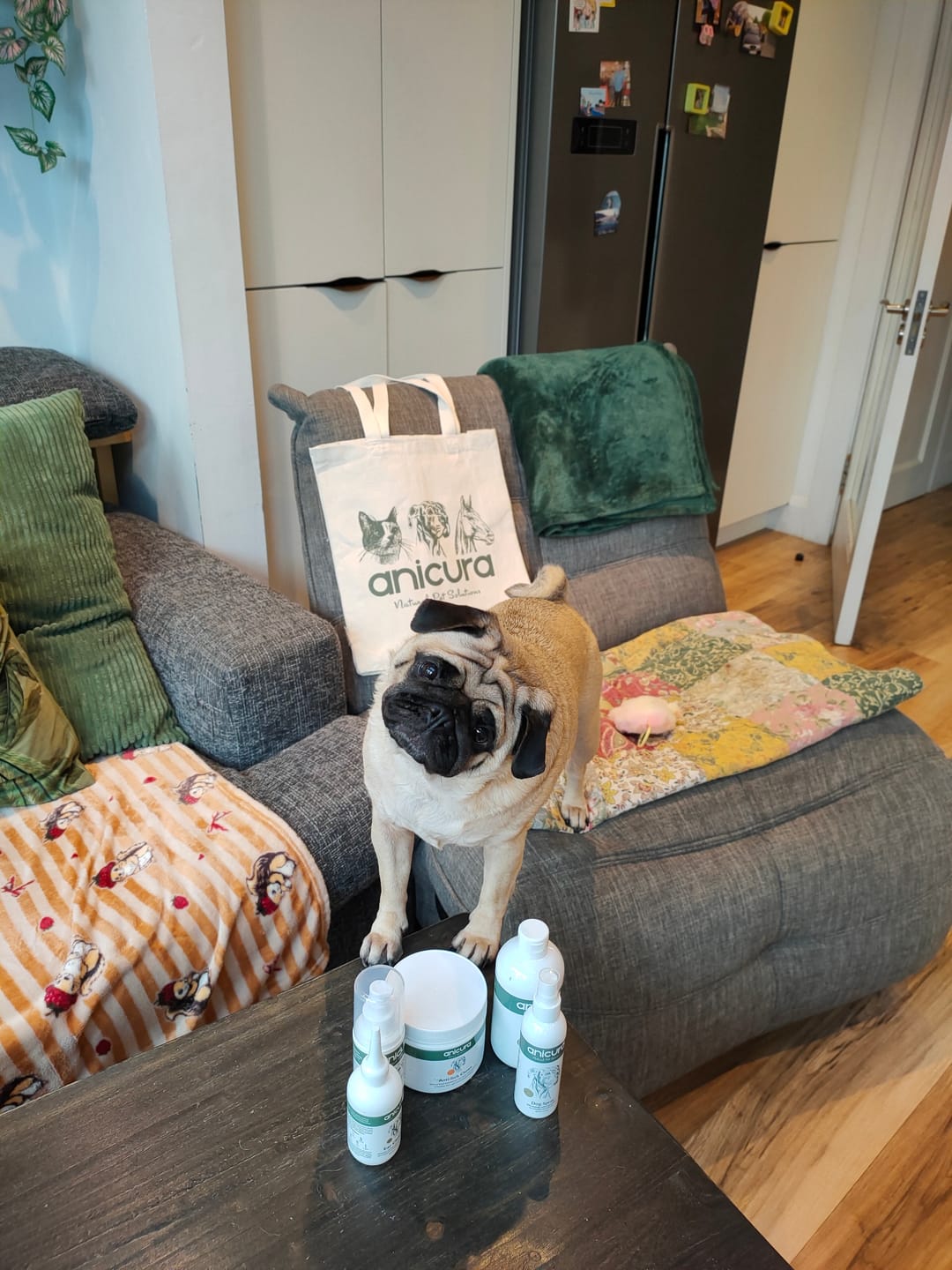 Customer photo review of Dog Gel