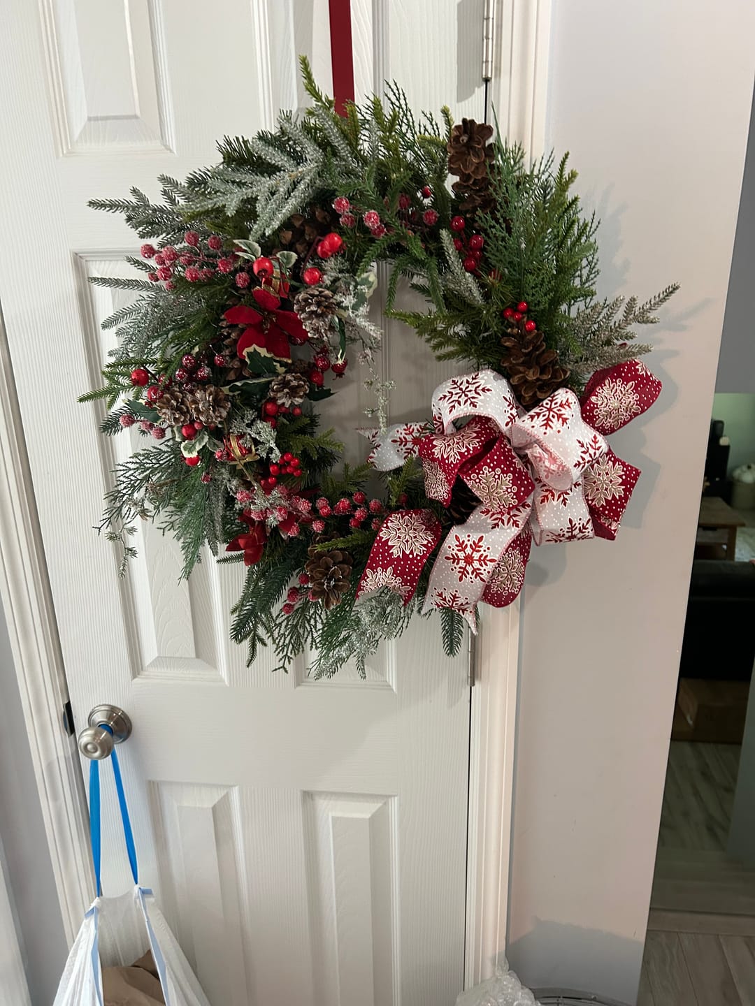 Customer photo review of 16" Oval Grapevine Wreath - DECOE-036