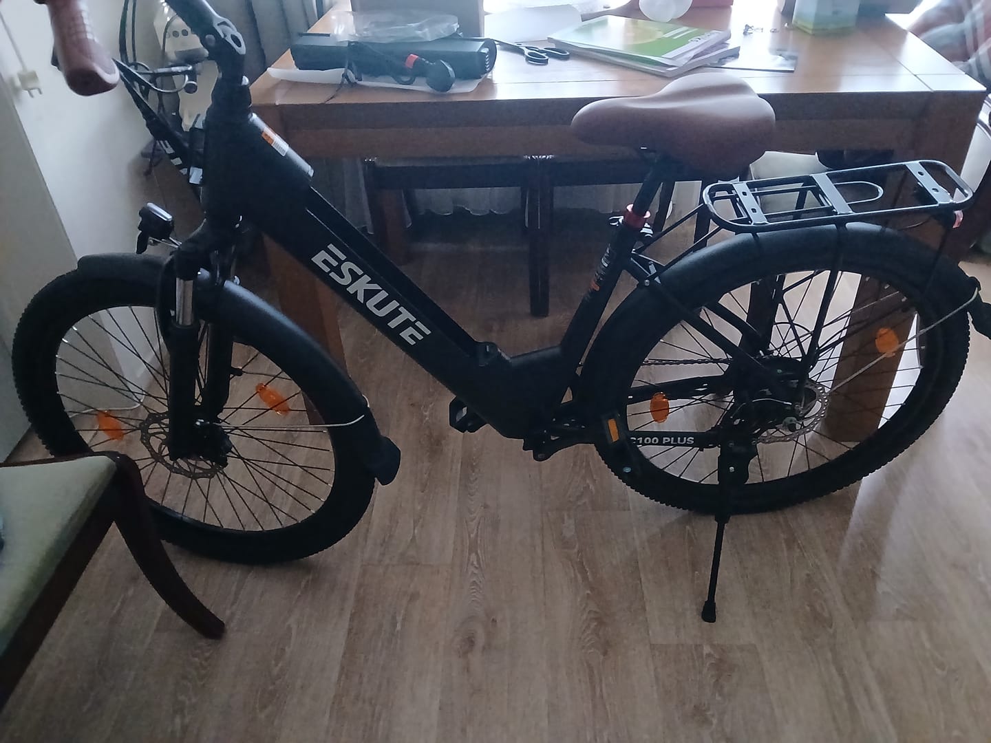 Customer photo review of Eskute C100 Plus City E-Bike
