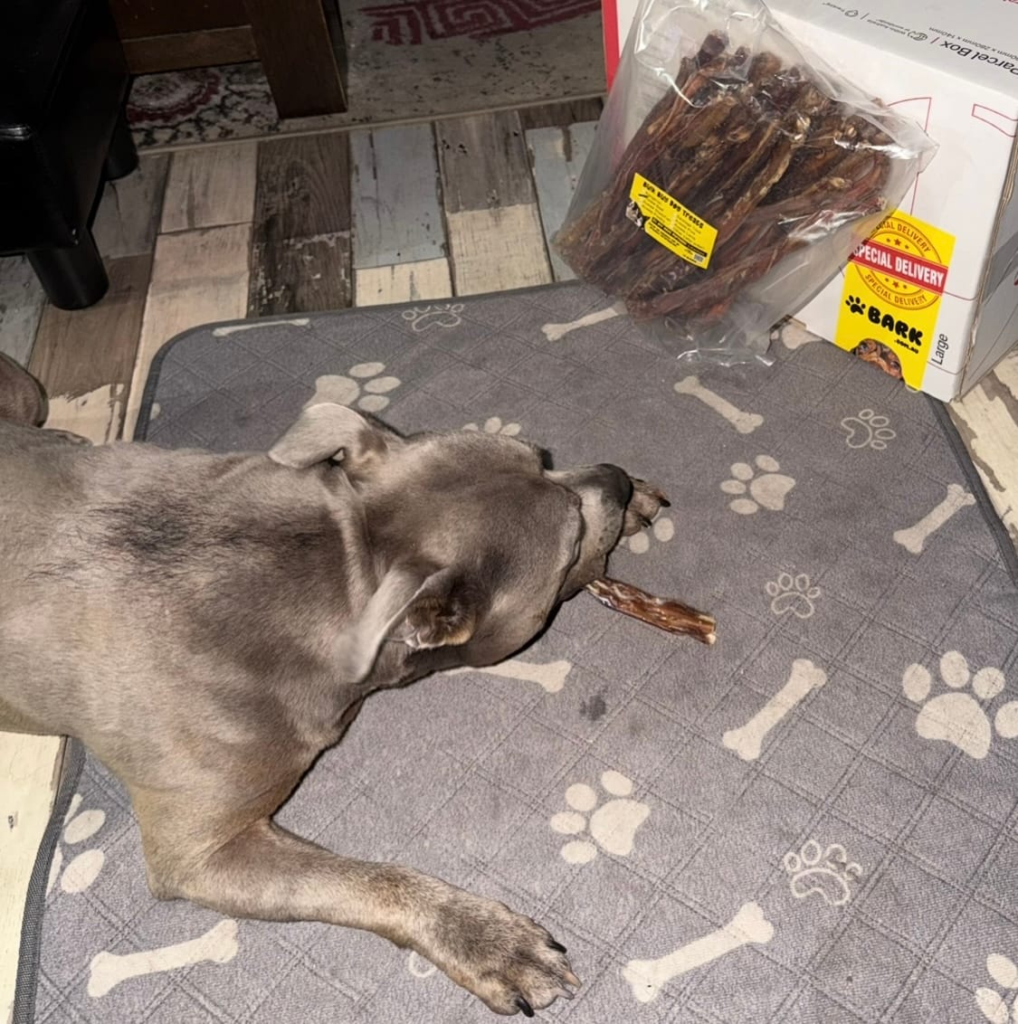 Customer photo review of Pizzle Stix (1kg pack)