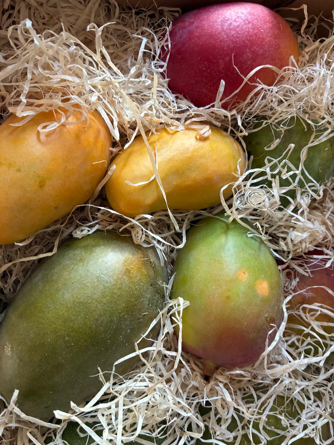 Customer photo review of Mango-Mix Bio von Julian 4kg Aktionspreis %