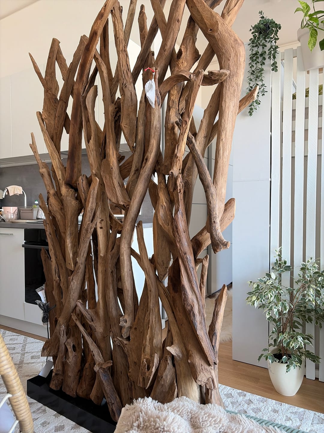 Customer photo review of Design Raumteiler BLUMA mit Beleuchtung im Sockel