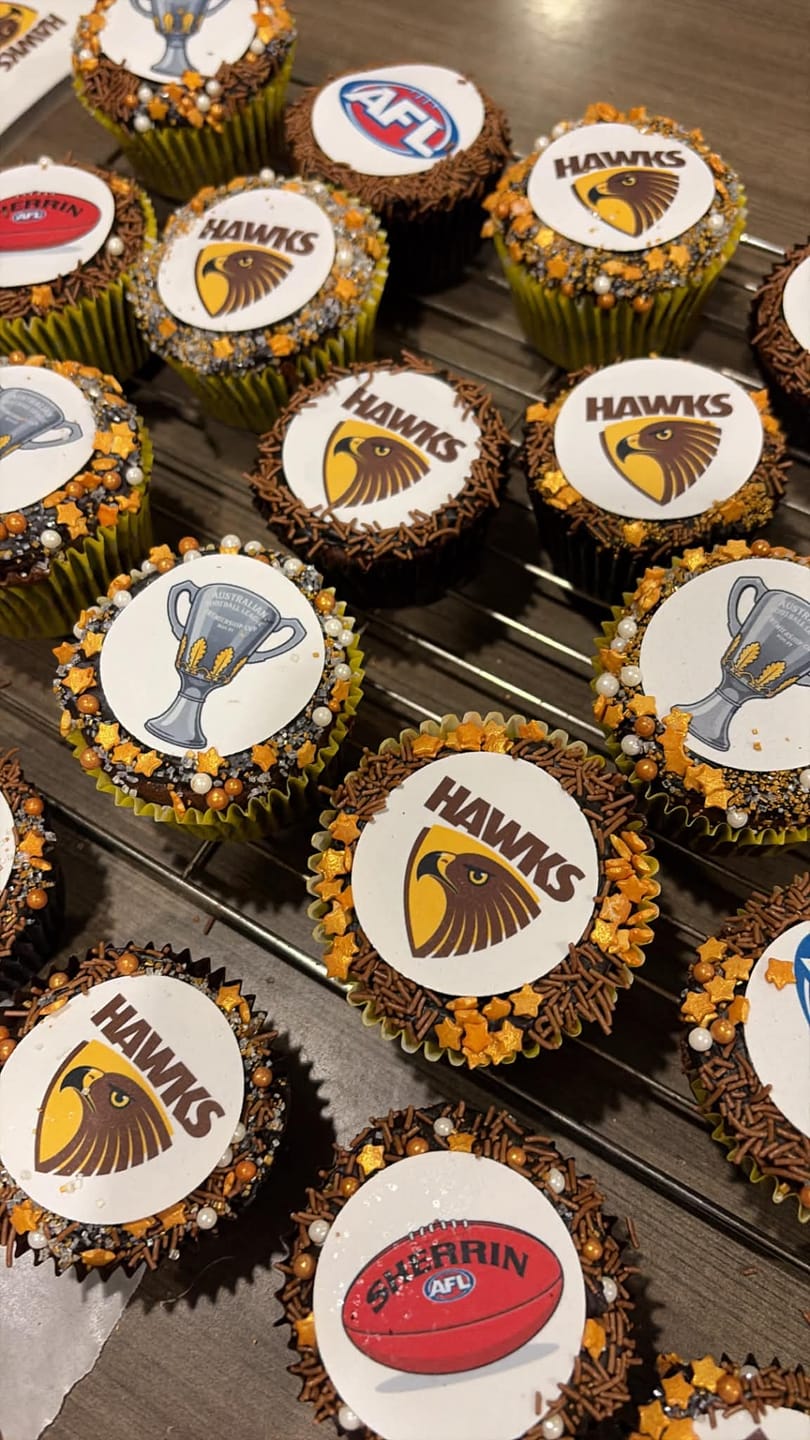 Customer photo review of Hawthorn Hawks AFL Club - Edible Icing Images