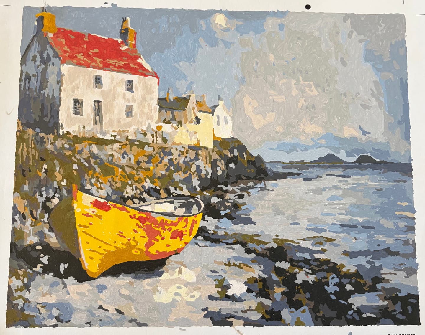 Customer photo review of Rowboat by the Shore