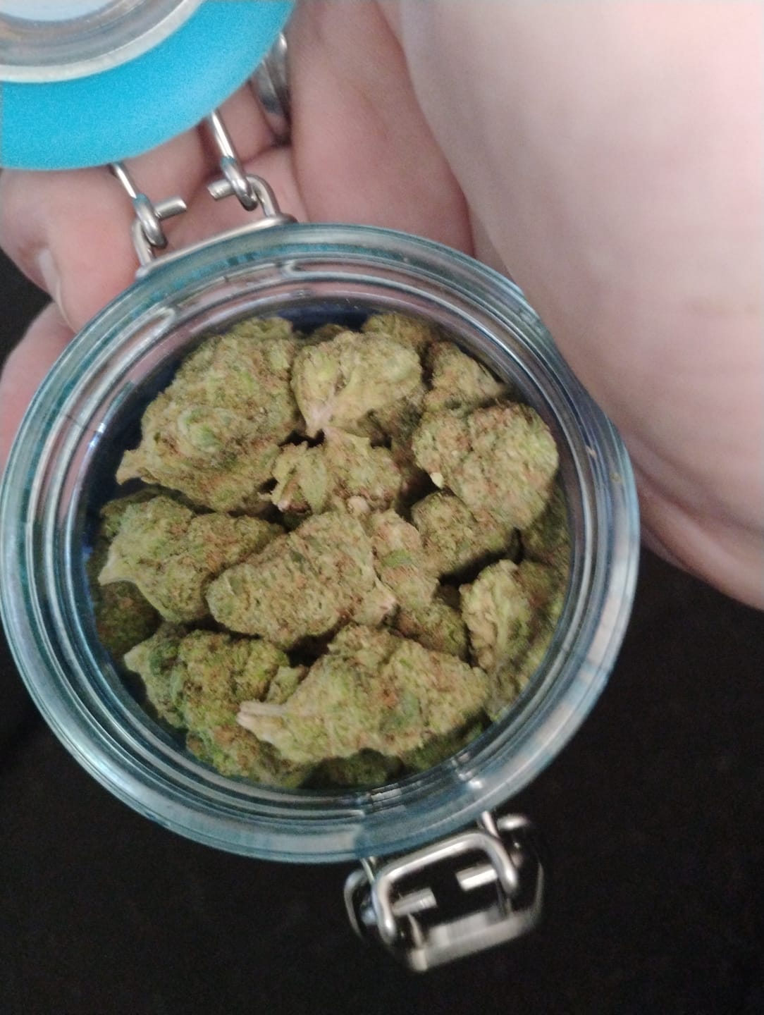 Customer photo review of Gas Face - Bulk - (Indica)