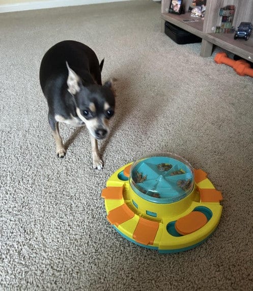 Customer photo review of Puzzle interactif - distributeur de croquettes