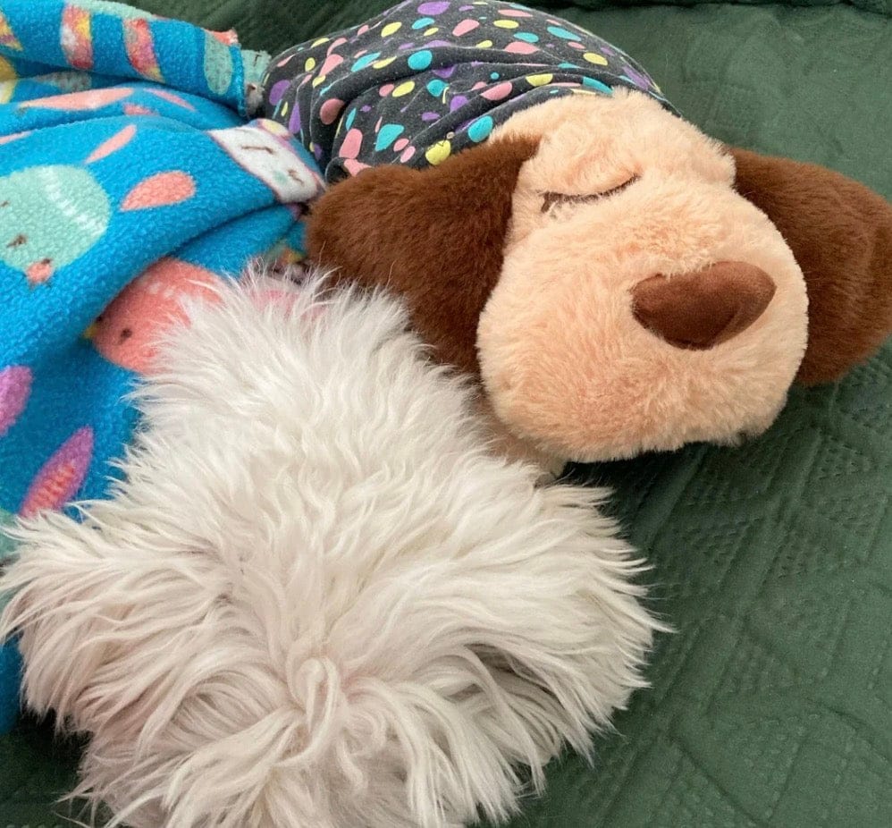 Customer photo review of Peluche con latido realista para perros